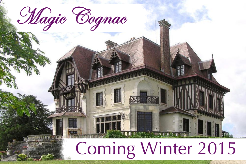 Magic Villa Cognac in France Rental Property